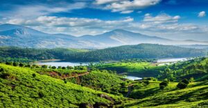 Best time to visit Munnar