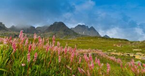 How to reach Valley of Flowers