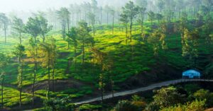 best trekking routes in Wayanad